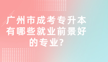 廣州市成考專升本