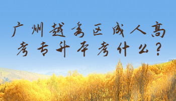 廣州越秀區(qū)成人高考