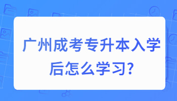 廣州成考專升本