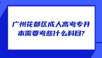 廣州花都區成人高考專升本
