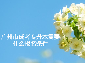 廣州市成考專升本報名條件
