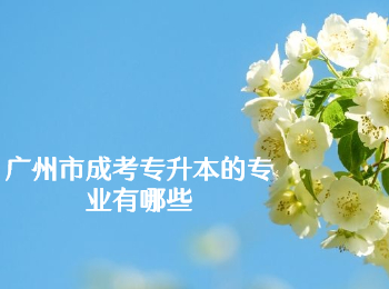廣州市成考專升本專業(yè)