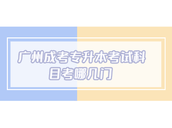 廣州成考專升本考試科目