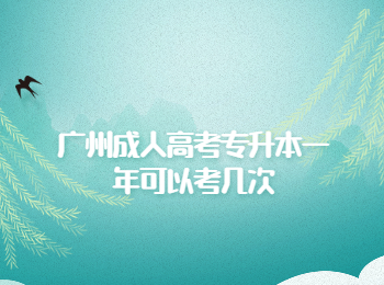 廣州成人高考 廣州成人高考專升本