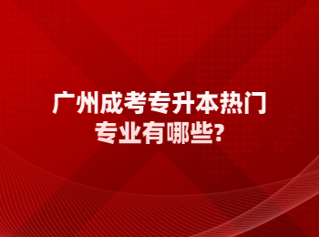 廣州成考專升本熱門專業